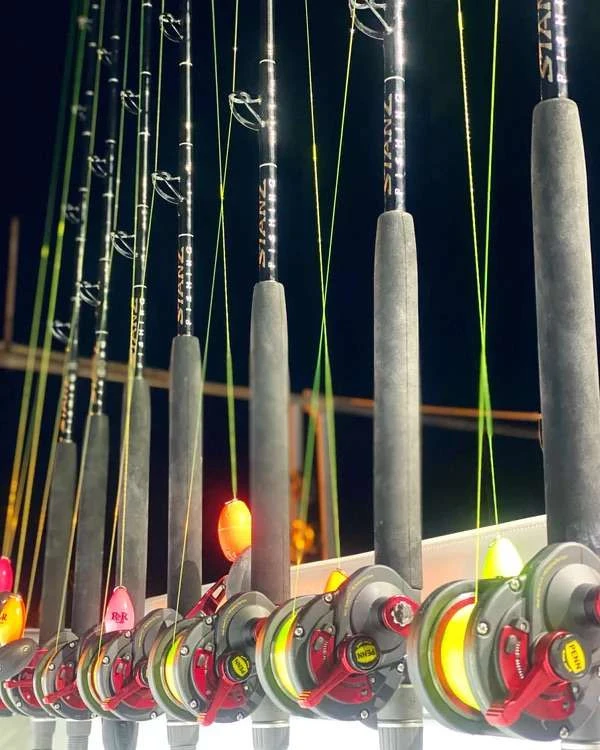 STANZ Fishing Kite Conventional Rods 2 STANZ Fishing Kite Conventional Rods - Image 2