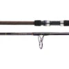 Star Aerial Surf Spinning Rods
