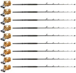 Penn International INT50VISW / INT30VISW PH UB Canyon Pac. (9 Combos)