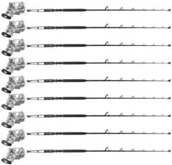 Penn International INT50VISWS / INT30VISWS PH Term. Canyon (9 Combos)