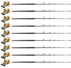 Penn International INT50VISX / INT30VISX PH UB Canyon Pac. (9 Combos)