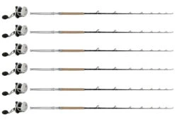 Penn Fathom II FTHII40NLDHS / TDPSTSC661630SIC Sailfish C. (6 Combos)