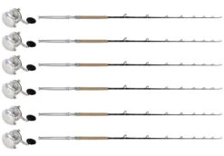 Avet G2 JX 6.0 SF Cam-SI / TDPSTSC661630SIC Sailfish Cany. (6 Combos)