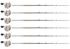 Shimano Talica A TAC20IIA / TDPSTSC661630SIC Sailfish Can. (6 Combos)