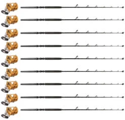 Penn International INT30VISW / TDPS643050WTSIN Canyon Pac. (9 Combos)