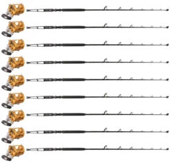 Penn International INT30VISW / TDPS643050WTSIN-Terminator (9 Combos)