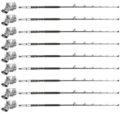 Penn International INT50VISWS / TDPS645080WTSIN-Terminator (9 Combos)