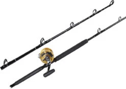 PENN International 50VISX & TackleDirect Platinum Hook Standup Combo