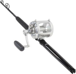 Avet EXW 50/2 LH-SI / Platinum Hook TDPS645080WTSIN Standup Combo