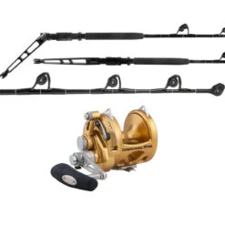 Penn International 50VISX / TDPS605080WTXC-Terminator Combo