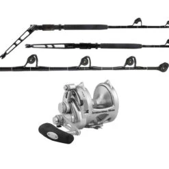 Penn International 50VISXS / TDPS605080WTXC-Terminator Combo