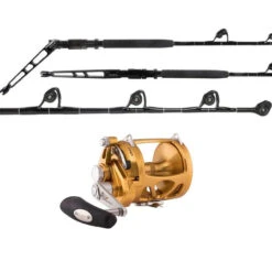 Penn International 50VIW / TDPS605080WTXC-Terminator Combo