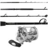 Penn International 50VIWS / Platinum Hook TDPS645080WTSIN Combo