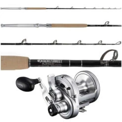 Shimano Speedmaster 25II / Platinum Hook TDPSTSC662040SIC Combo