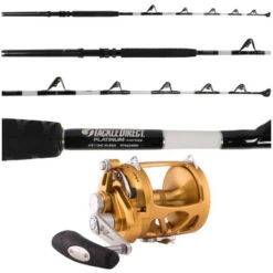 Penn International 50VIW / TackleDirect TDTS605080 Combo