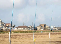 Temple Fork Tidal Force Surf Spinning Rods 7 Temple Fork Tidal Force Surf Spinning Rods -Fishing Tackle Sale temple fork outfitters tidal force surf spinning rods 31718.1761862145