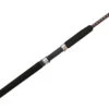 Ugly Stik Bigwater Spinning Rods